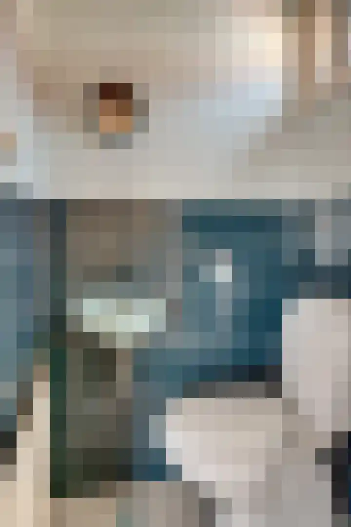Endepoelstraat 8 Didam thumbnail 11