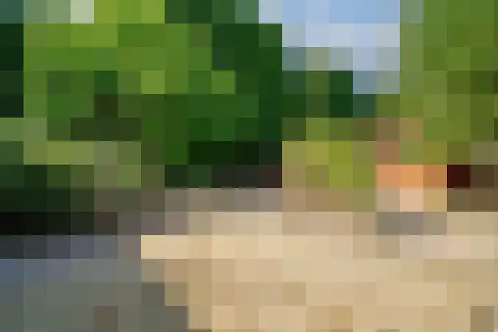 Endepoelstraat 8 Didam thumbnail 28