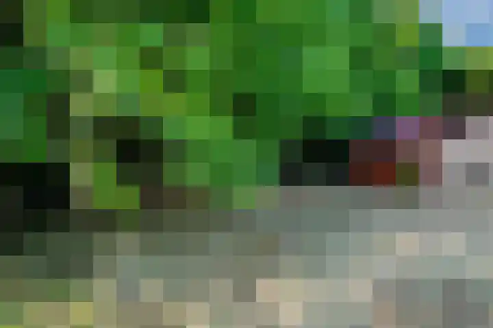 Endepoelstraat 8 Didam thumbnail 29
