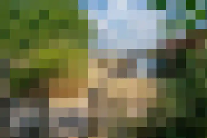 Endepoelstraat 8 Didam thumbnail 30