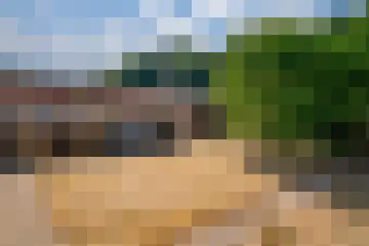 Endepoelstraat 8 Didam thumbnail 9