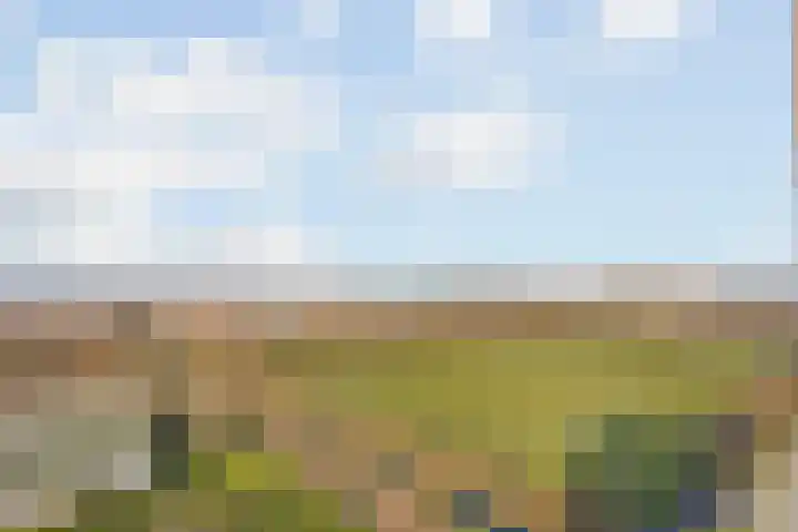 Endezant 114 Rijswijk thumbnail 14