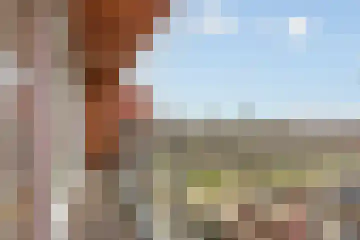 Endezant 114 Rijswijk thumbnail 15
