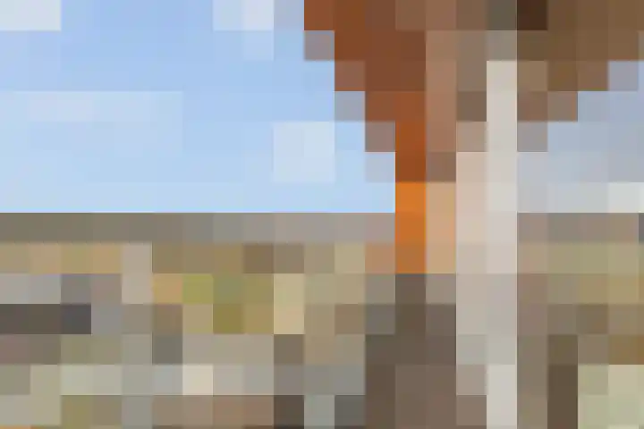 Endezant 114 Rijswijk thumbnail 16