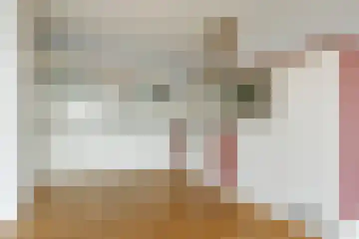 Endezant 114 Rijswijk thumbnail 20