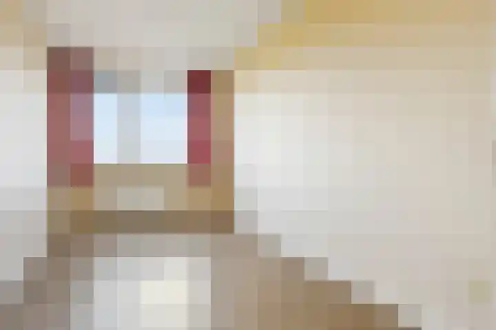 Endezant 114 Rijswijk thumbnail 30