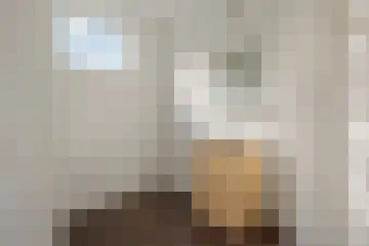 Endezant 114 Rijswijk thumbnail 32