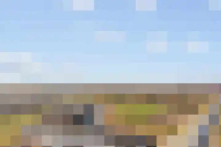 Endezant 114 Rijswijk thumbnail 4