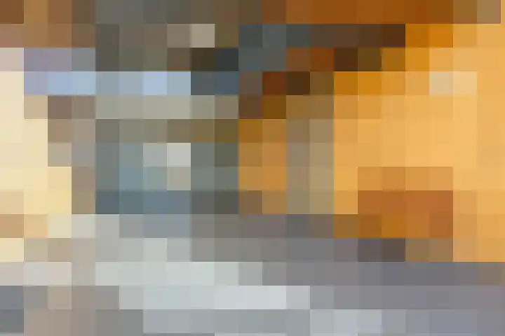 Endezant 114 Rijswijk thumbnail 44