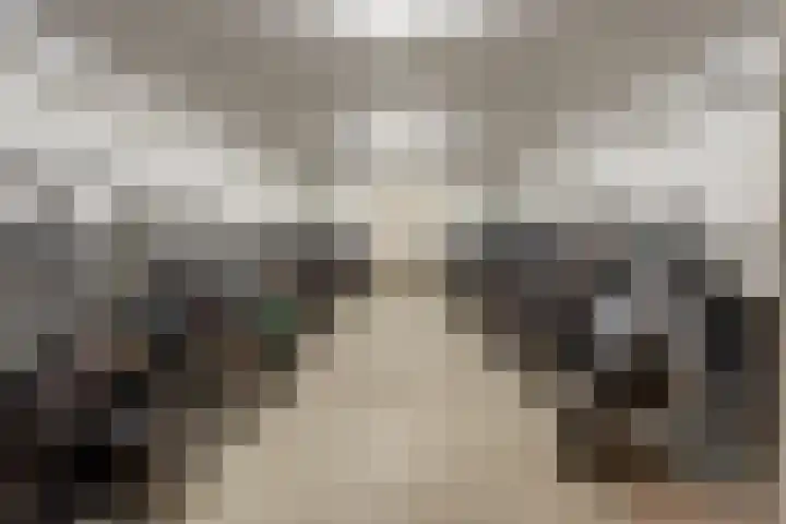 Endezant 114 Rijswijk thumbnail 45