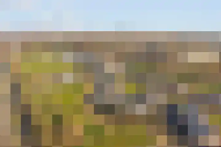 Endezant 114 Rijswijk thumbnail 5