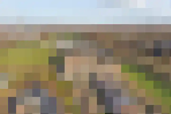 Endezant 114 Rijswijk thumbnail 56
