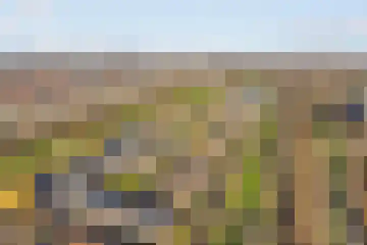 Endezant 114 Rijswijk thumbnail 58