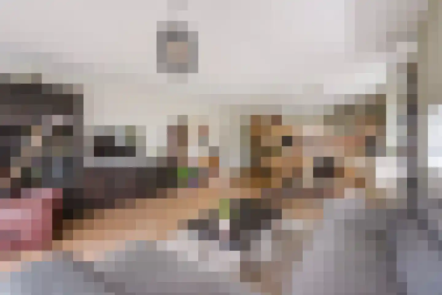 Endezant 23 Rijswijk (ZH) thumbnail 19