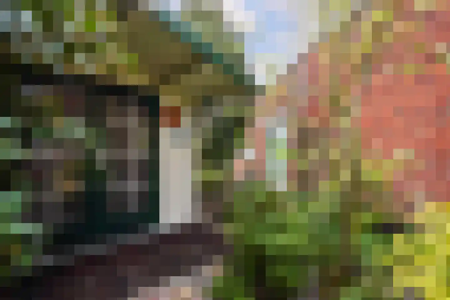 Endezant 23 Rijswijk (ZH) thumbnail 24