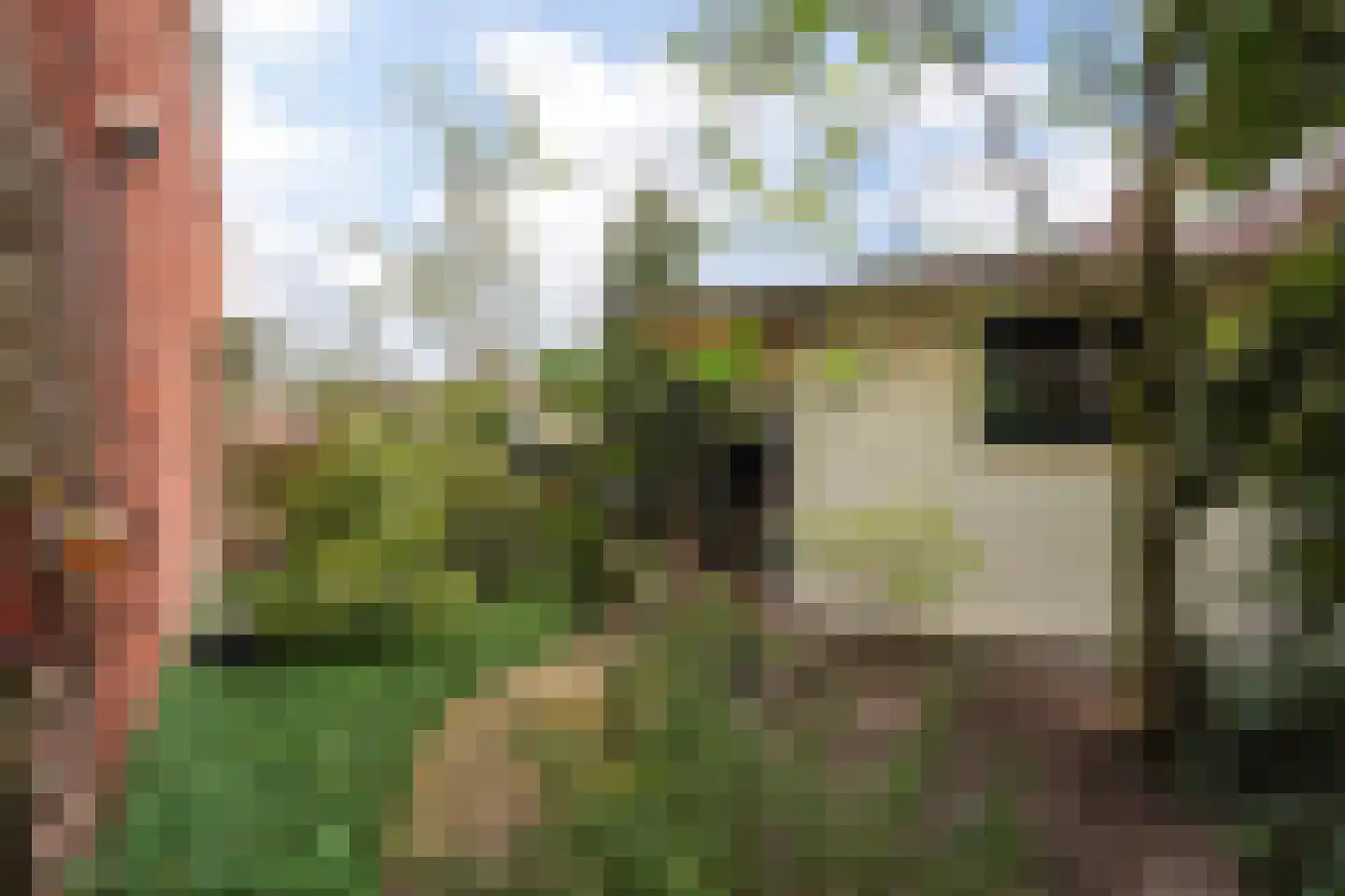 Endezant 23 Rijswijk (ZH) thumbnail 25
