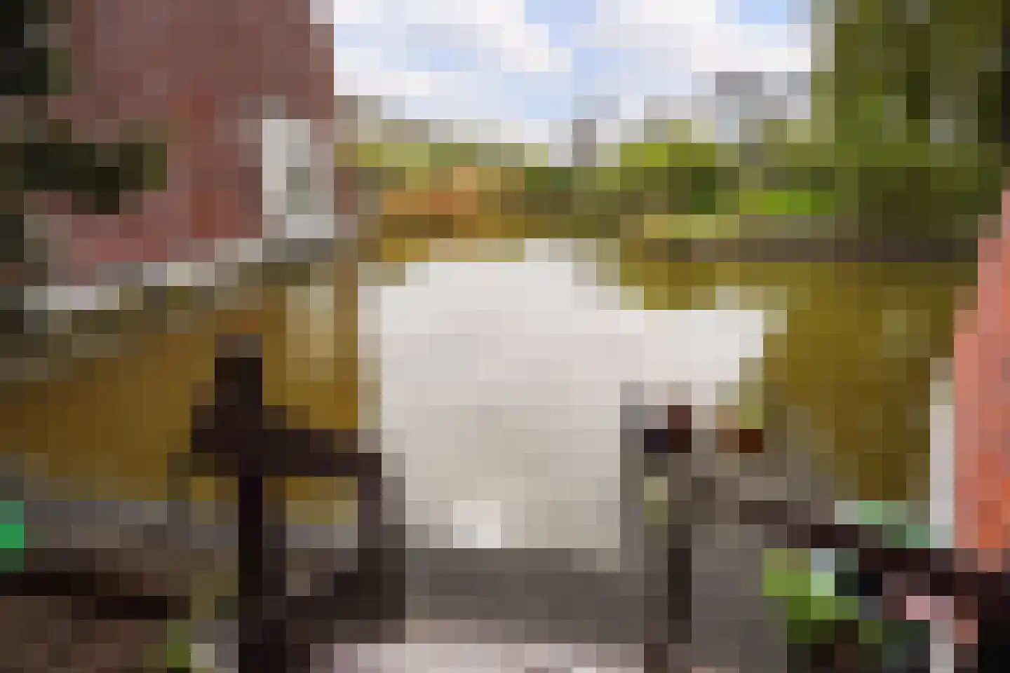Endezant 23 Rijswijk (ZH) thumbnail 26