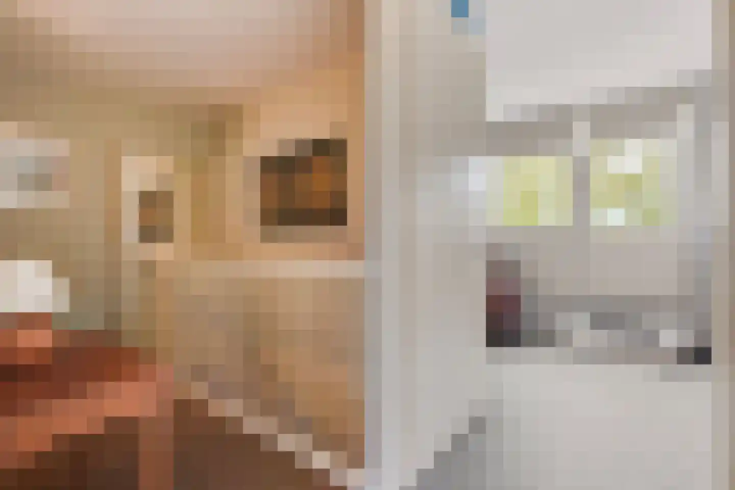 Endezant 23 Rijswijk (ZH) thumbnail 31