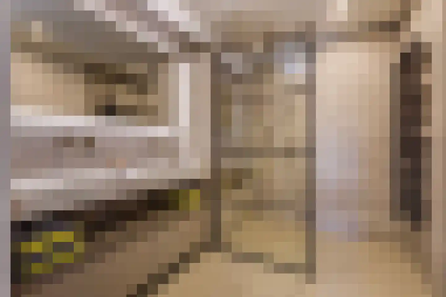Endezant 23 Rijswijk (ZH) thumbnail 4