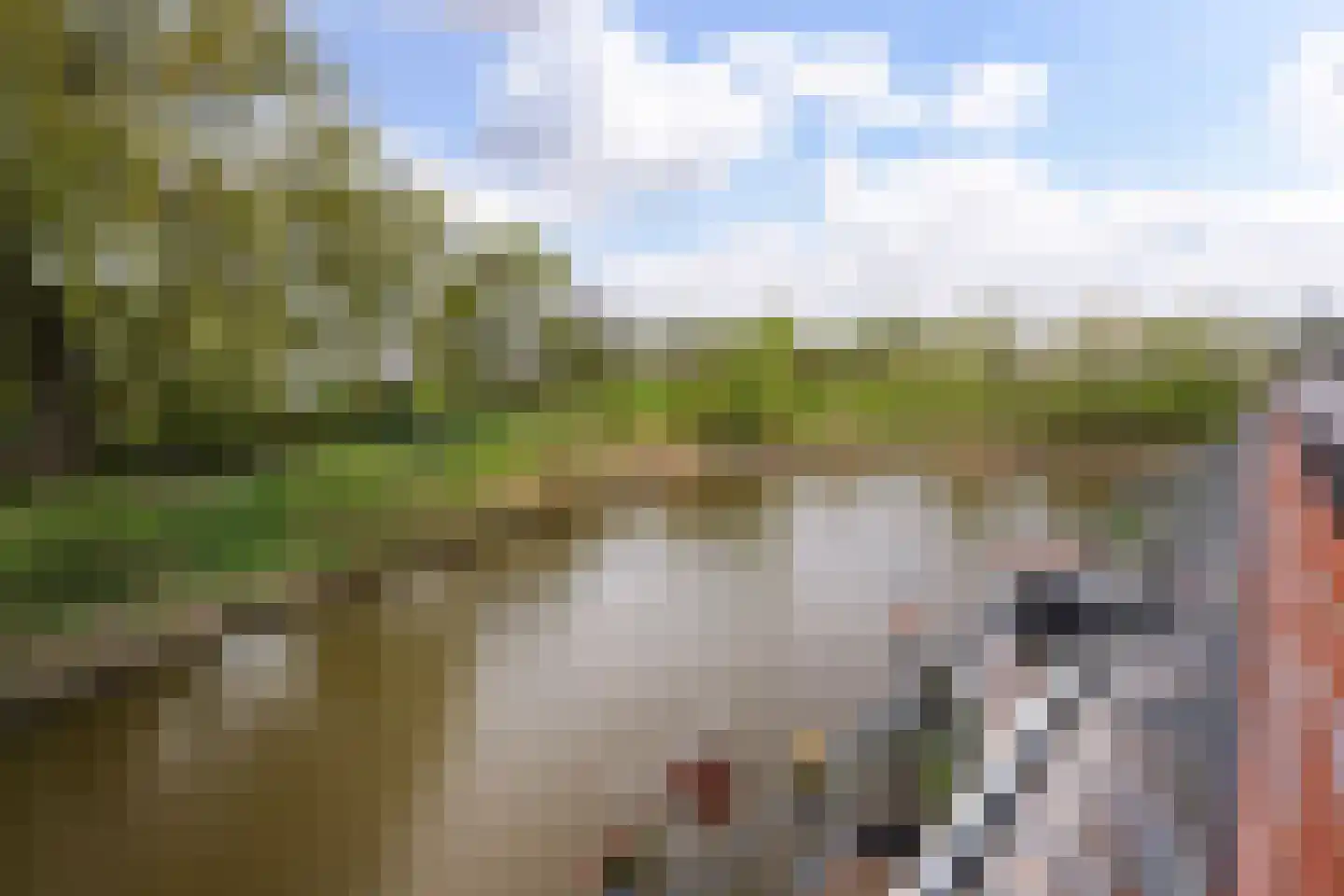 Endezant 23 Rijswijk (ZH) thumbnail 43