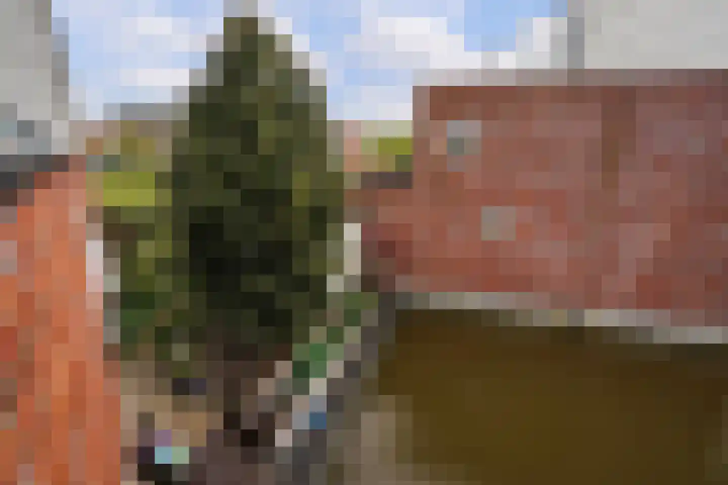 Endezant 23 Rijswijk (ZH) thumbnail 45