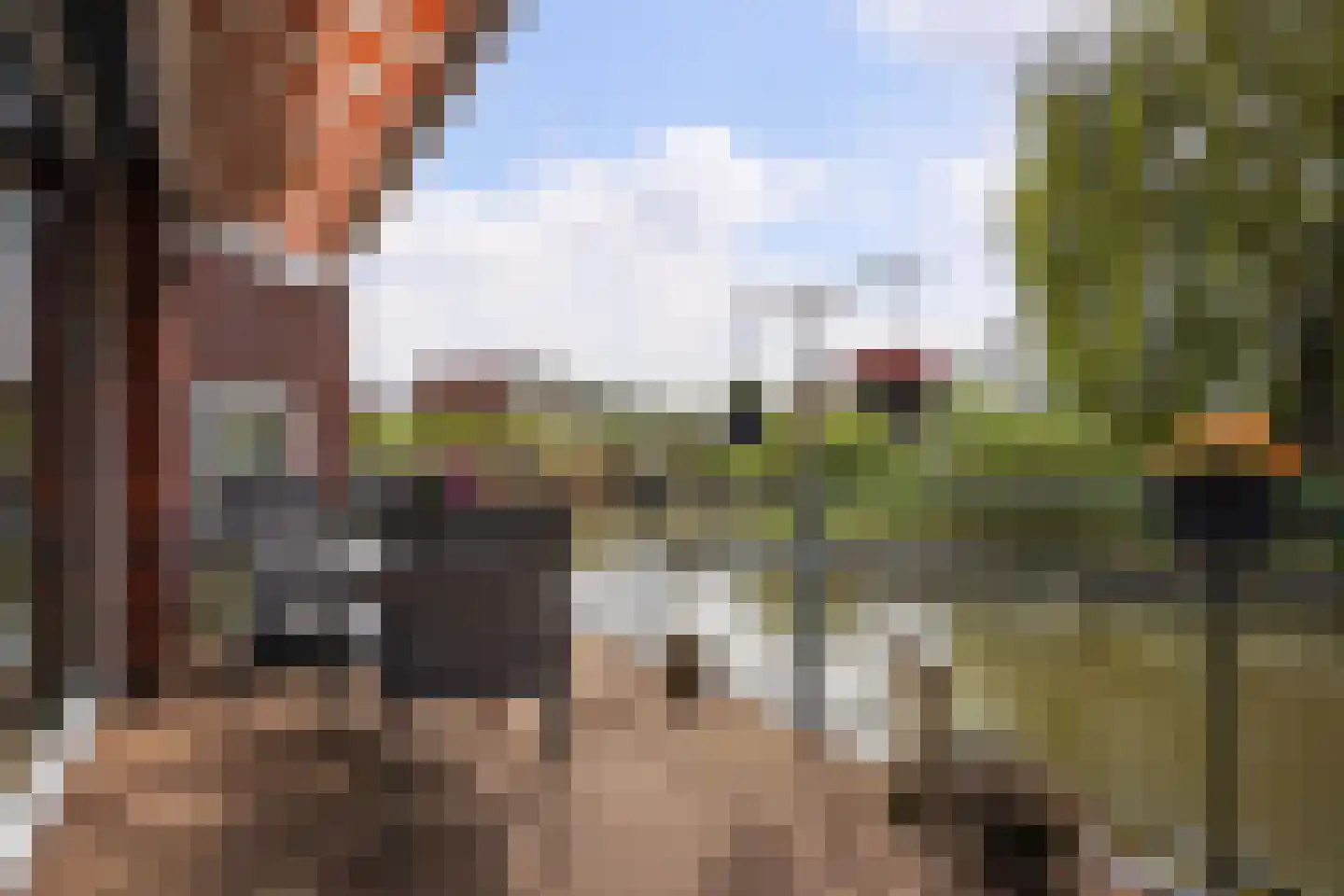 Endezant 23 Rijswijk (ZH) thumbnail 5