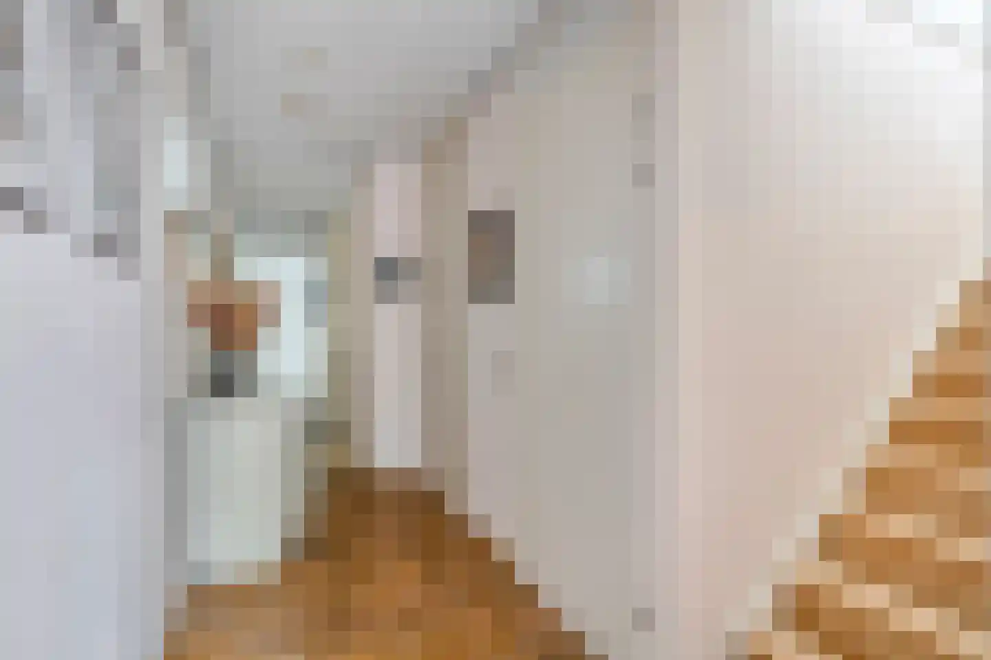 Endezant 31 Rijswijk thumbnail 12
