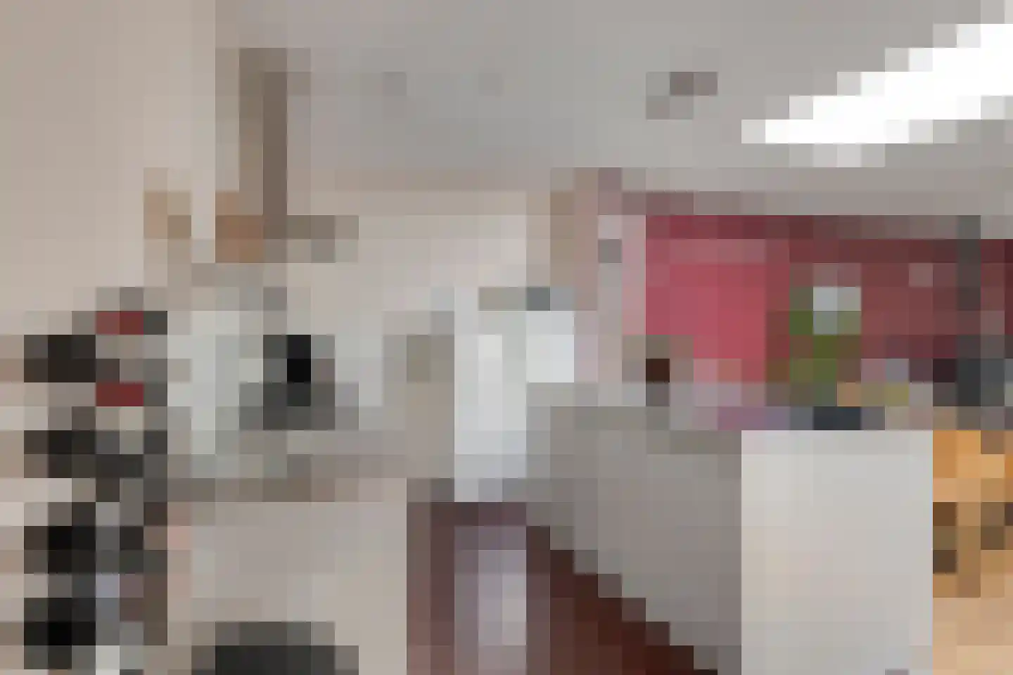 Endezant 31 Rijswijk thumbnail 19