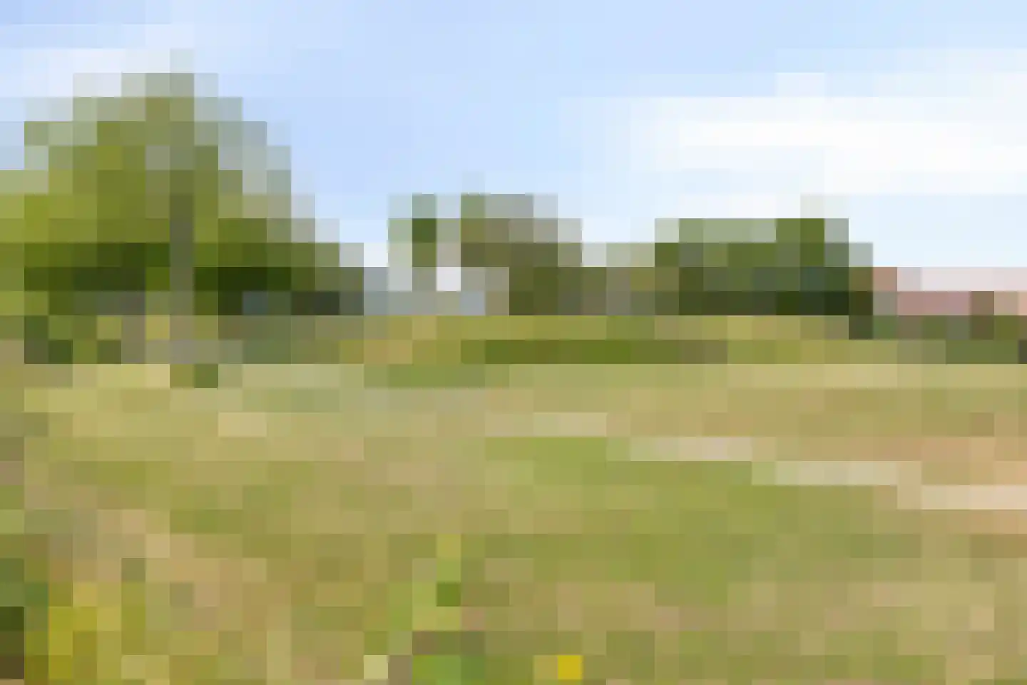 Endezant 31 Rijswijk thumbnail 31