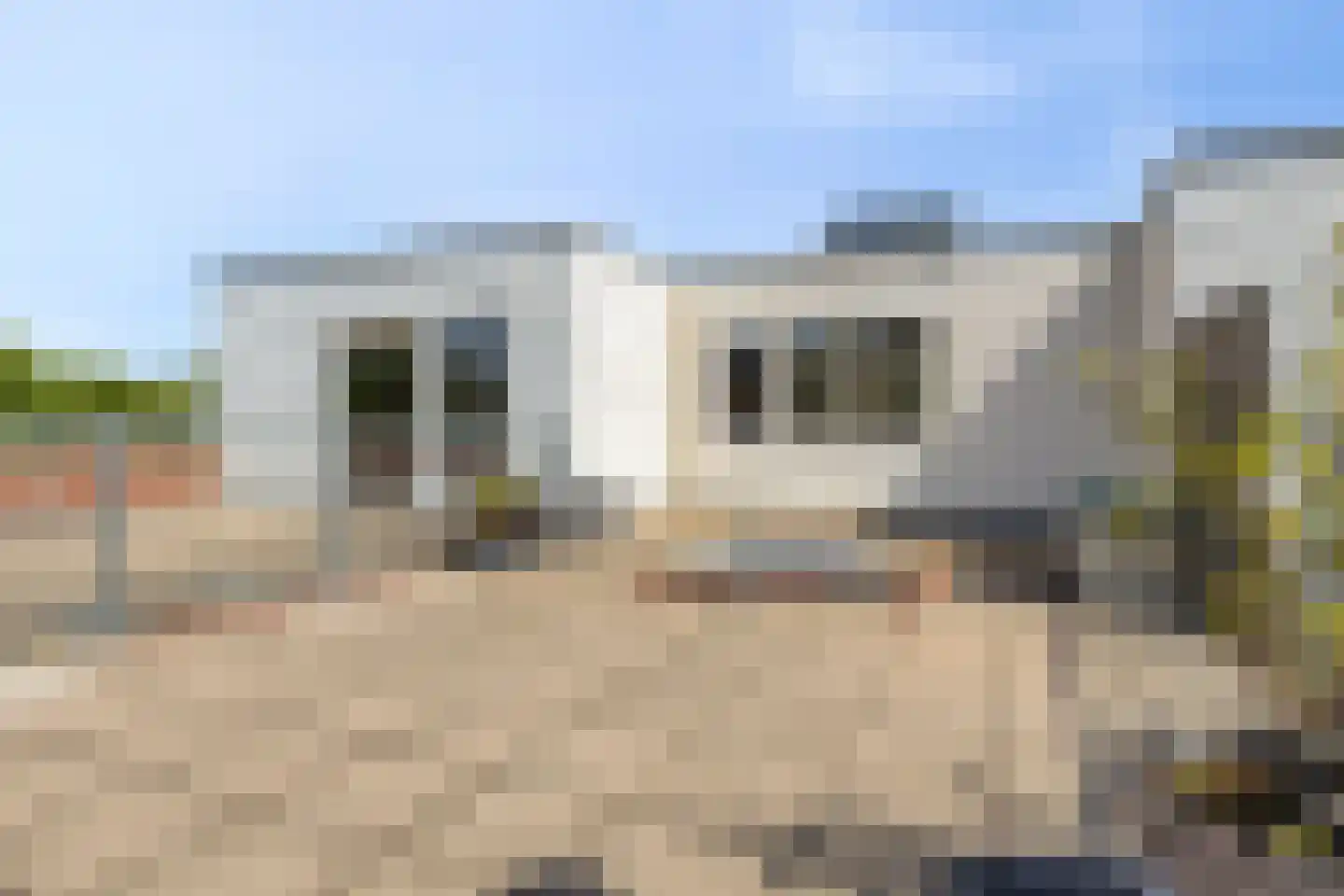Endezant 31 Rijswijk thumbnail 4