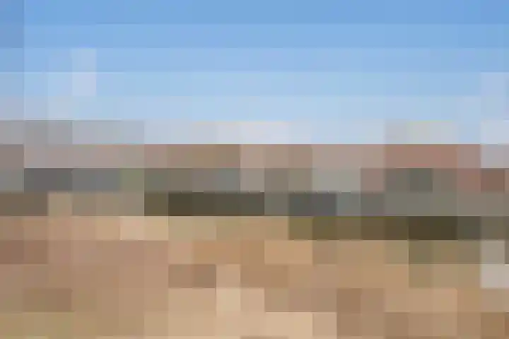 Endezant 89 in Rijswijk