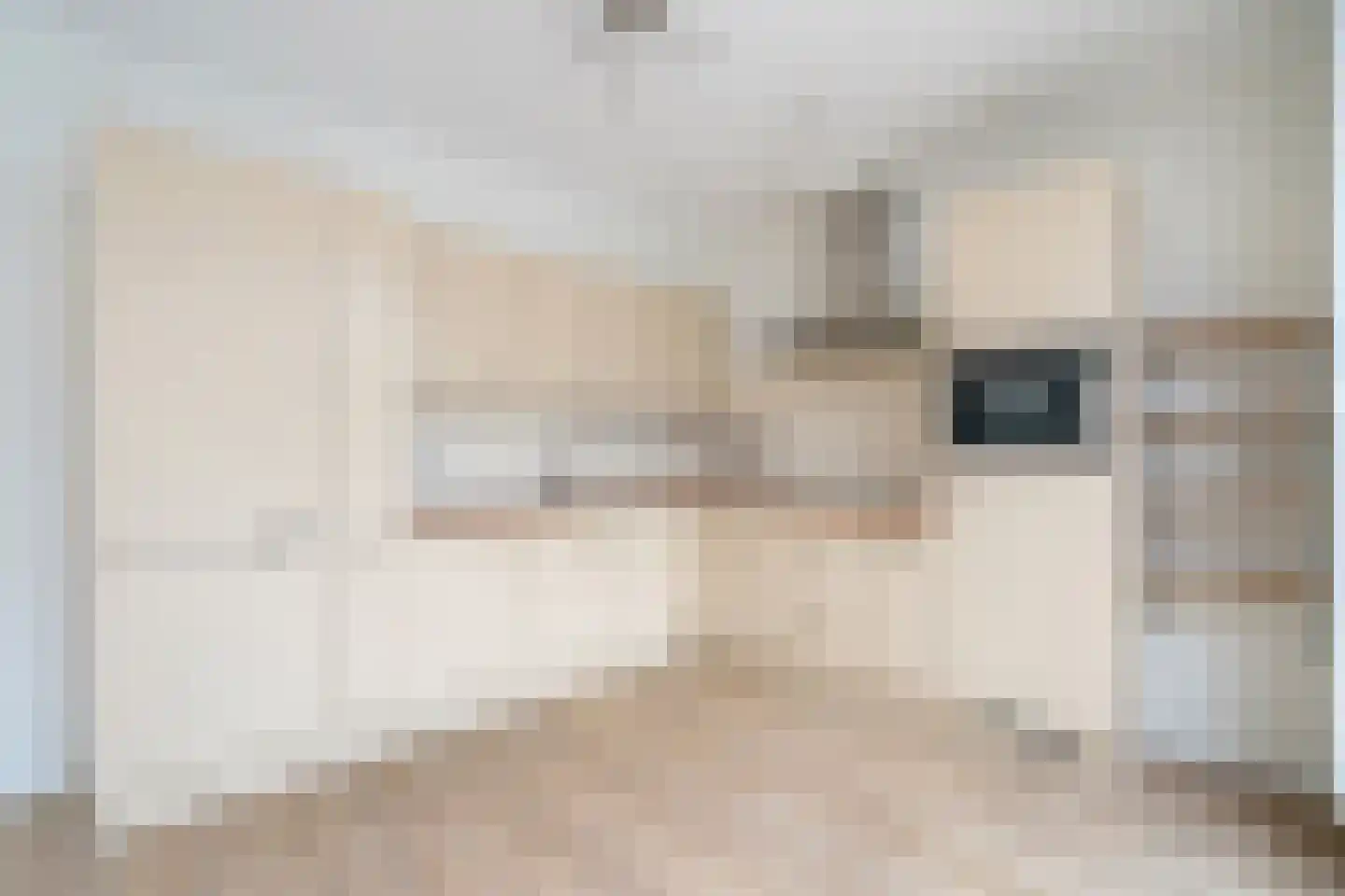 Endezant 89 Rijswijk thumbnail 16