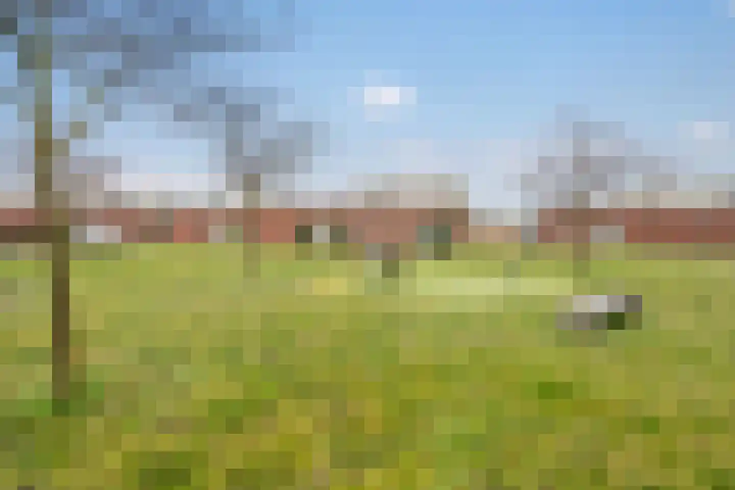 Endezant 89 Rijswijk thumbnail 25