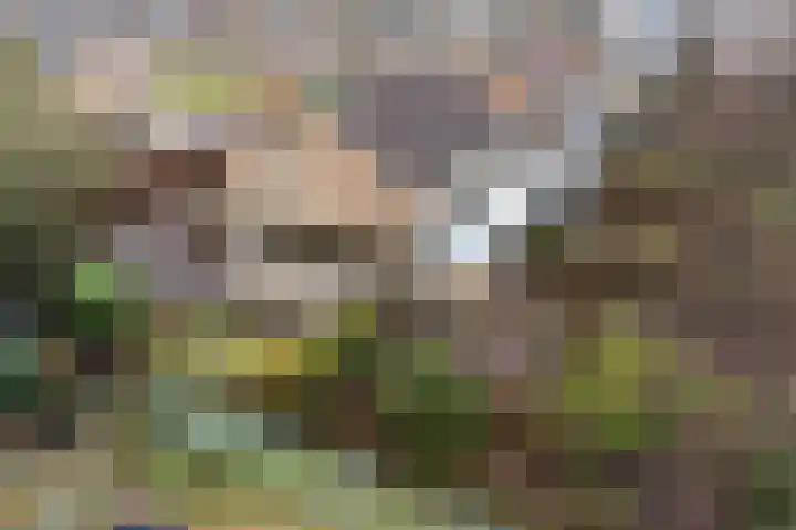 Enemastraat 24 Leek thumbnail 4