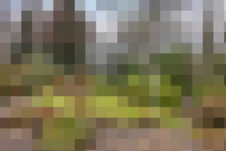 Enemastraat 24 Leek thumbnail 40