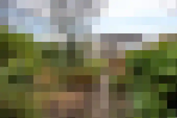 Enemastraat 24 Leek thumbnail 41