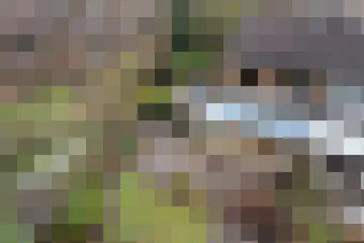 Enemastraat 24 Leek thumbnail 43