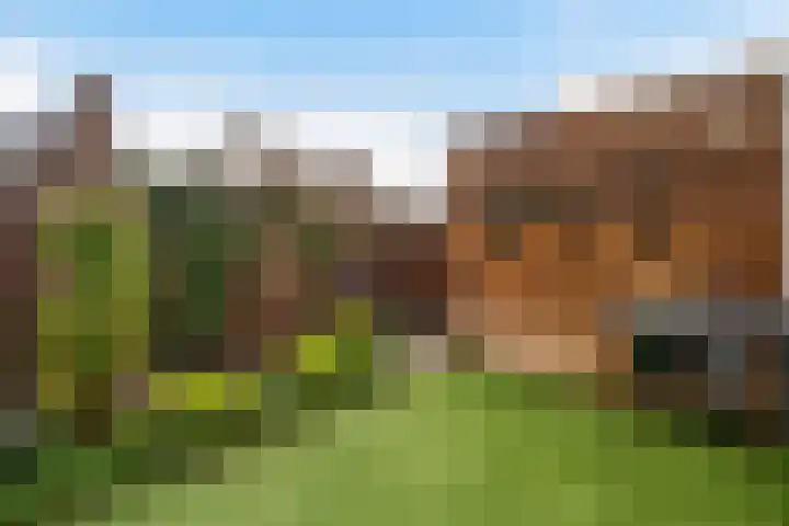Energiestraat 6 Weert thumbnail 43