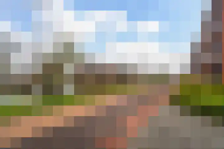 Energiestraat 6 Weert thumbnail 50