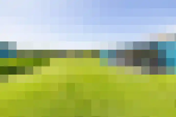 Energieweg 3 Scheemda thumbnail 21