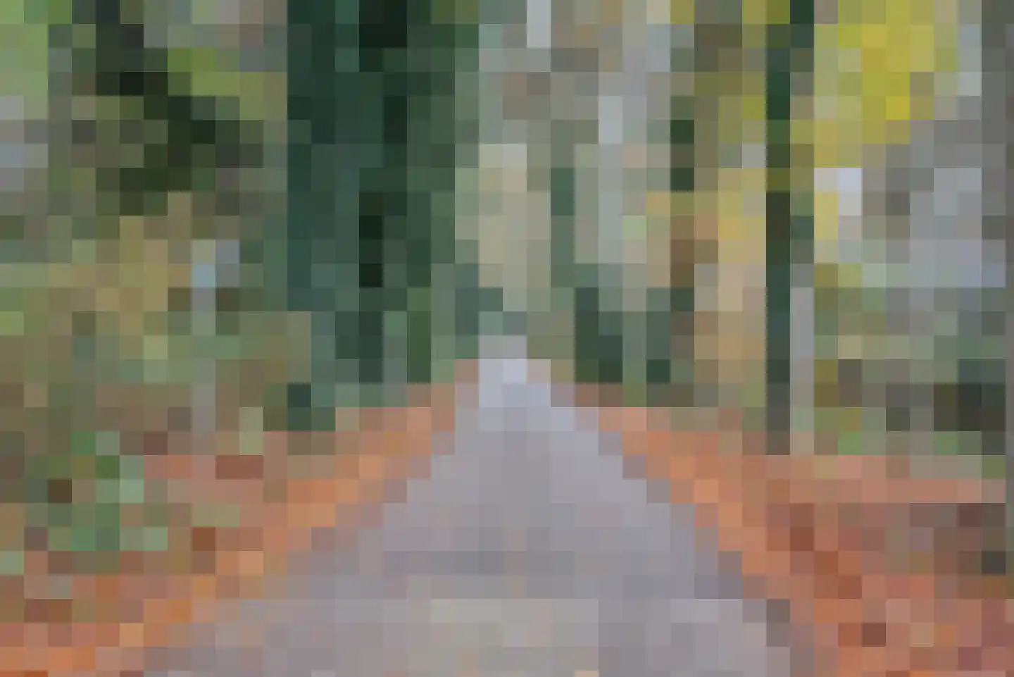 Engbergseweg 1 A Voorst thumbnail 10