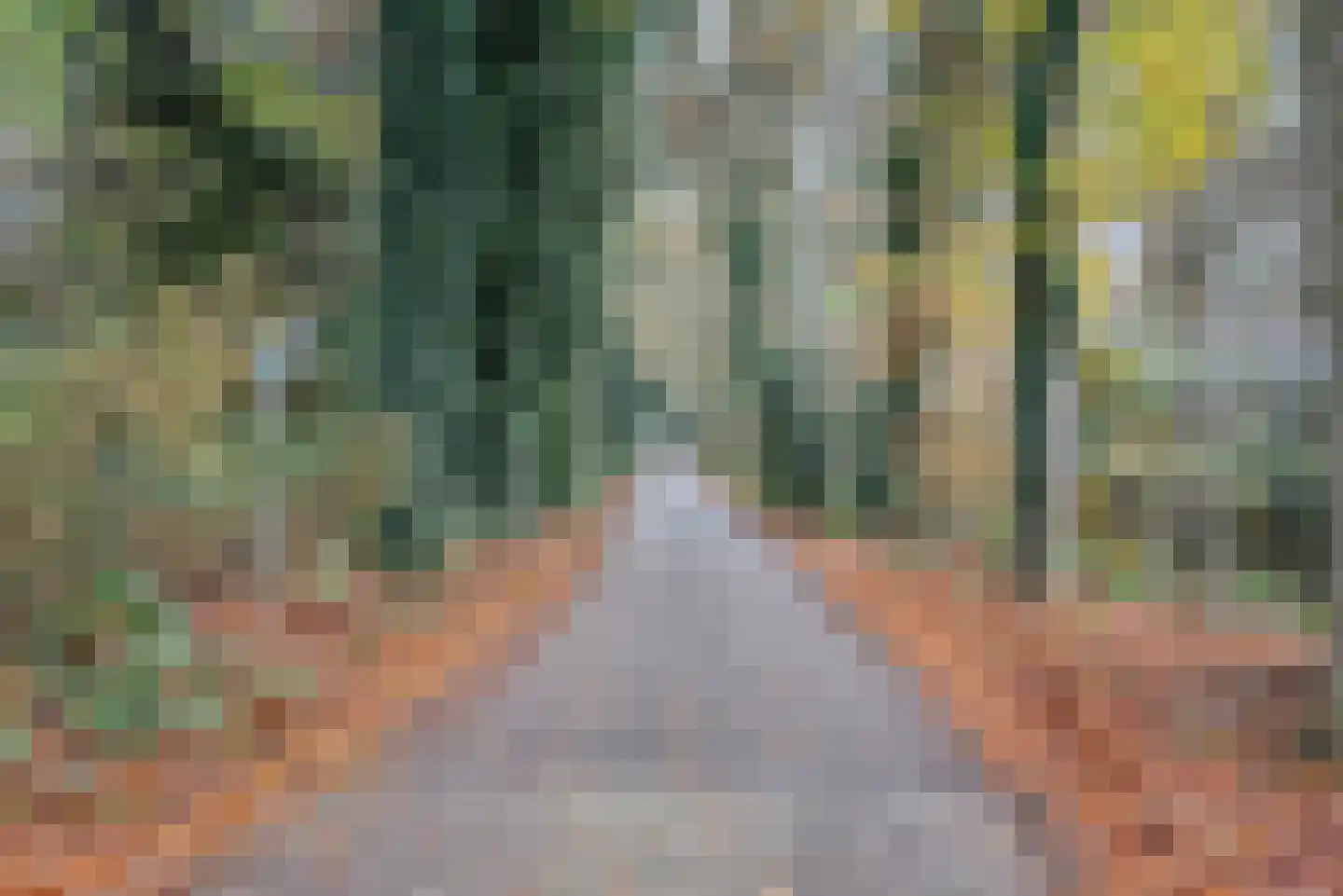 Engbergseweg 1 A Voorst thumbnail 12