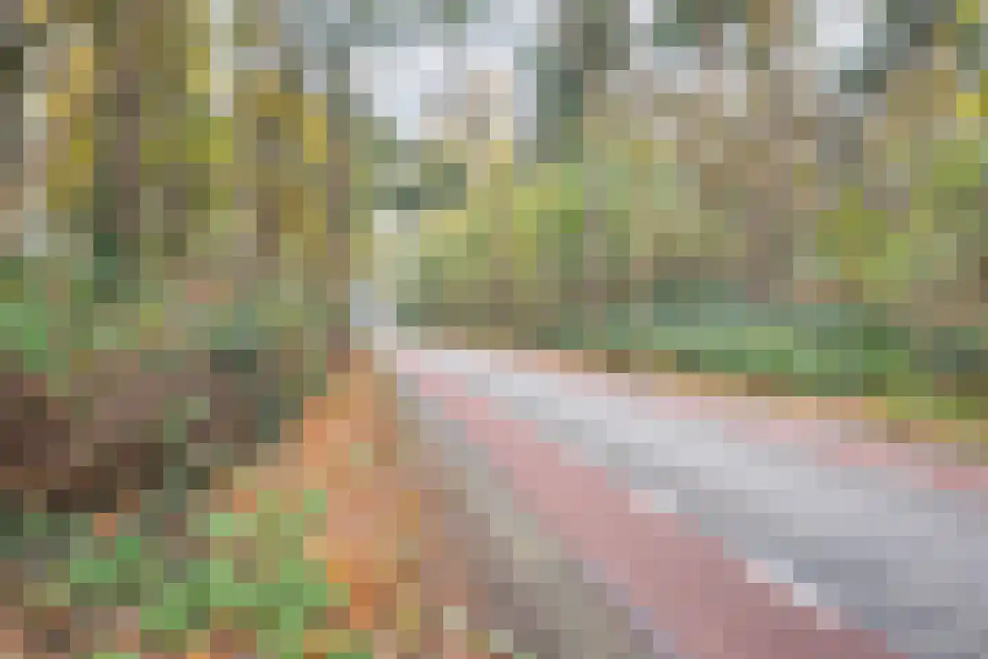 Engbergseweg 1 A Voorst thumbnail 13