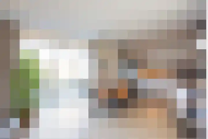 Engberserf 32 Dalfsen thumbnail 13
