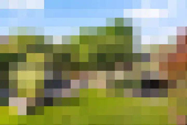 Engberserf 32 Dalfsen thumbnail 37