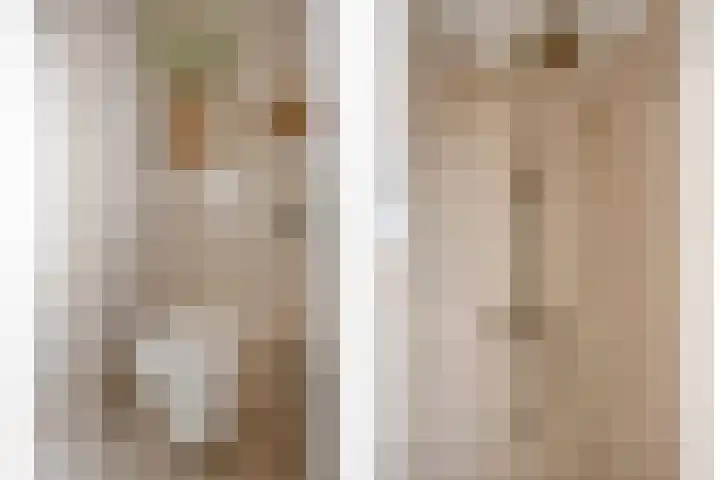 Enge IJsselweg 8 Lopikerkapel thumbnail 14