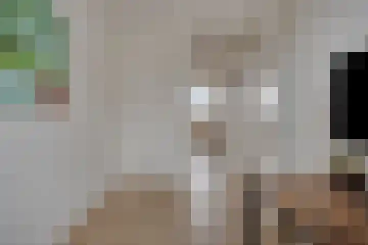 Enge IJsselweg 8 Lopikerkapel thumbnail 18