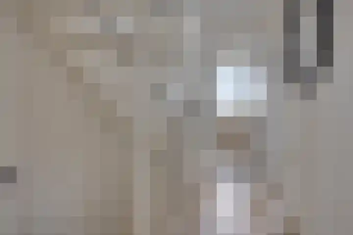 Enge IJsselweg 8 Lopikerkapel thumbnail 19