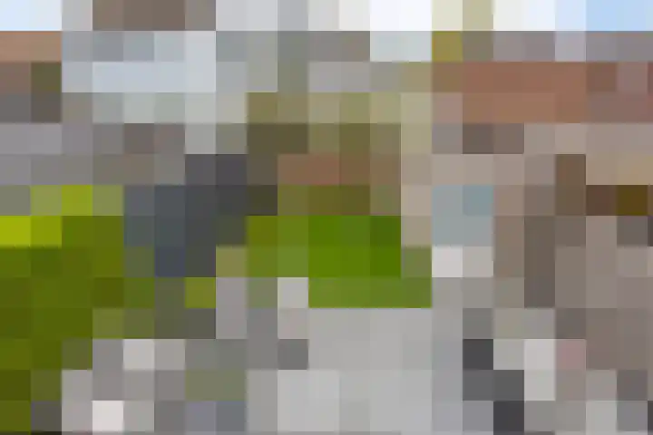 Enge IJsselweg 8 Lopikerkapel thumbnail 22