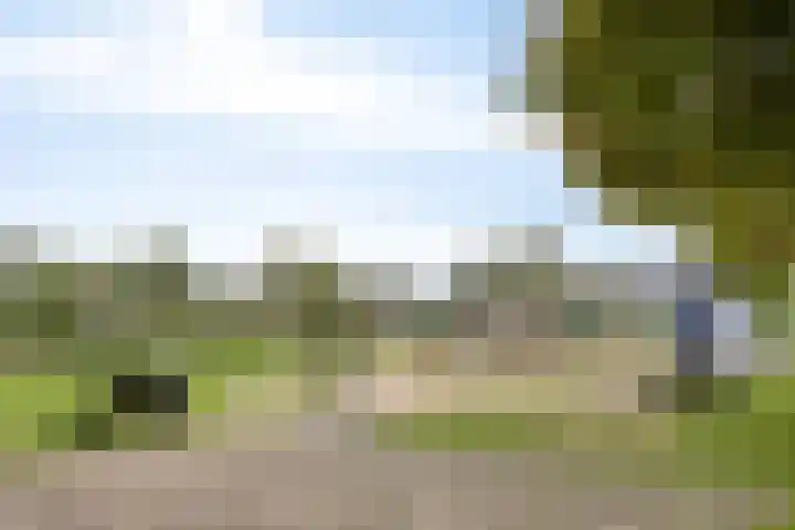 Enge IJsselweg 8 Lopikerkapel thumbnail 30